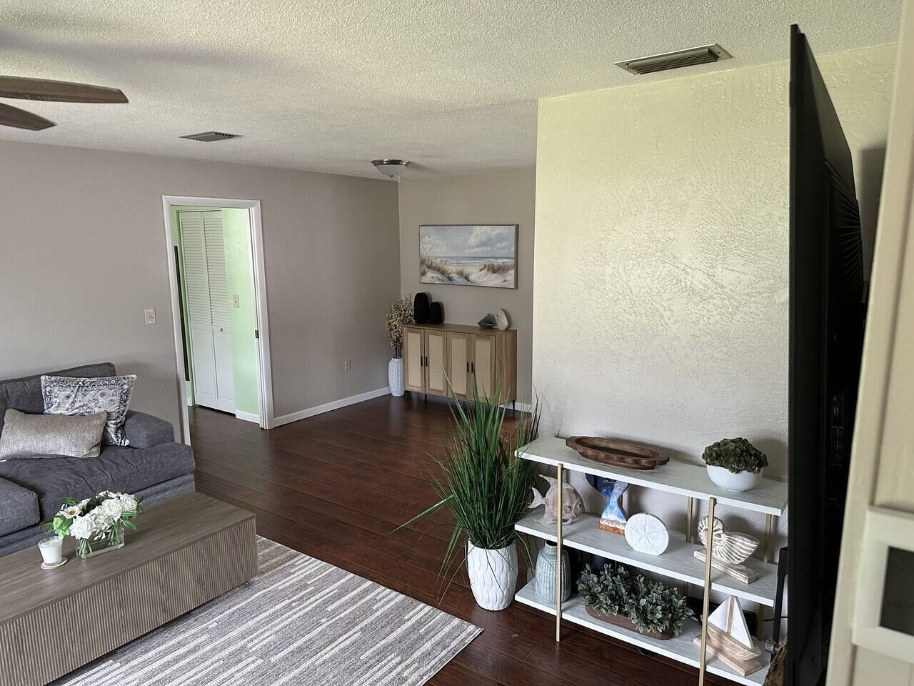 A living room with a sofa, coffee table, and a plant. There is a television on a stand and a cabinet in the background.