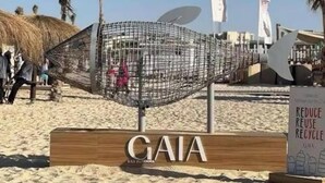 A beach with a metal structure resembling a hammock, a wooden sign with 'GAIA' on it, and a recycling sign.