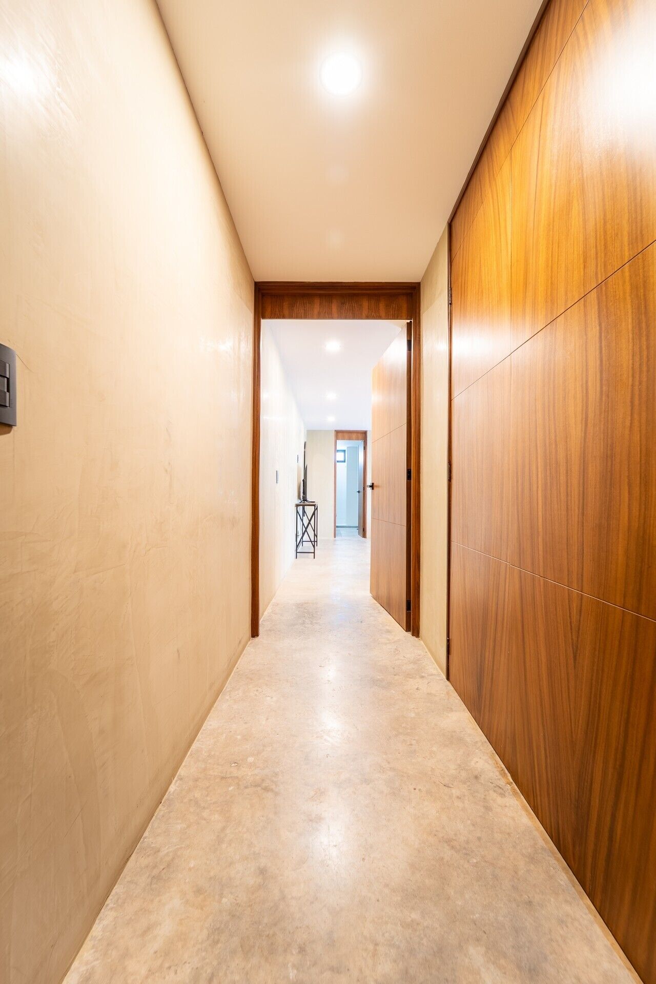 Un pasillo con una puerta de madera a la derecha y un interruptor de luz a la izquierda.