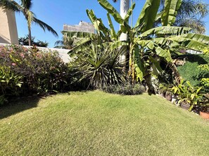 A well-maintained garden with a variety of tropical plants, including banana trees and a palm tree, in front of a building with a concrete facade. - Ocean Views, Private Pool, One Block to Beach, House and Casita (Cruz de Huanacaxtle)