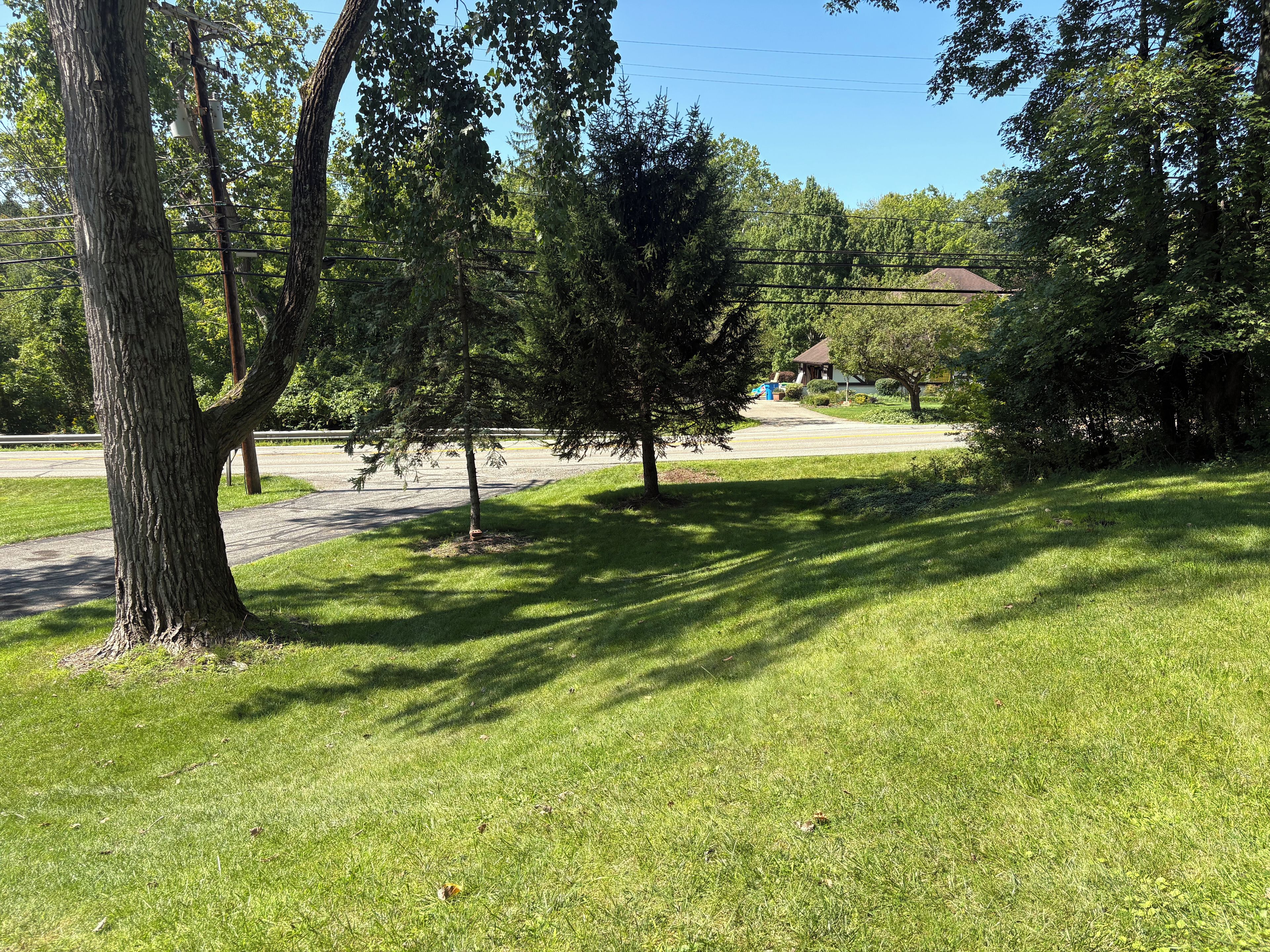 A grassy area with trees and a clear sky.