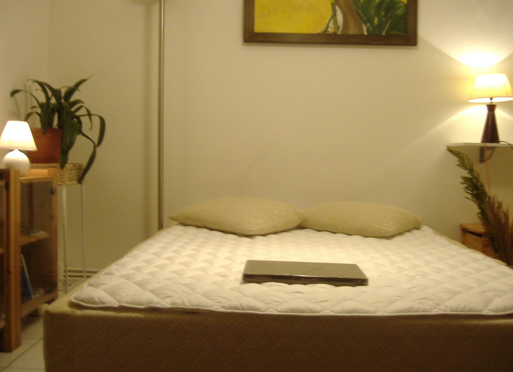 A neatly made bed with a quilted cover and two pillows, a bedside lamp, a small table with a plant, and a painting on the wall.