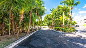 A paved road lined with palm trees and a building in the distance.
