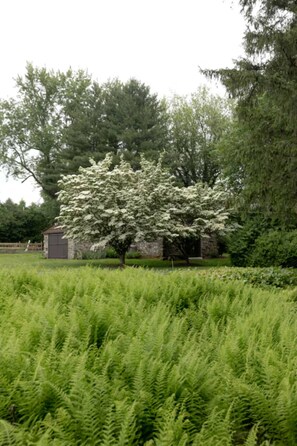 Property grounds - Historic Stone Cottage at OldWalls (Brewster)
