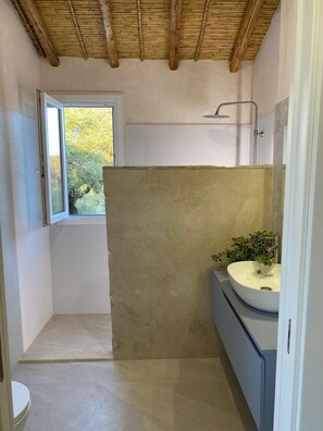 Ducha, secador de pelo y toallas