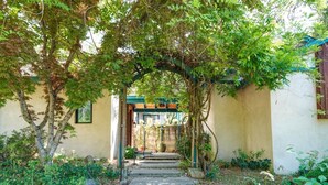 A garden pathway leading to a building entrance with a wooden archway, surrounded by greenery and a stone staircase. - Serene 10-Acre Nevada City Retreat w Hot Tub! (Nevada City)