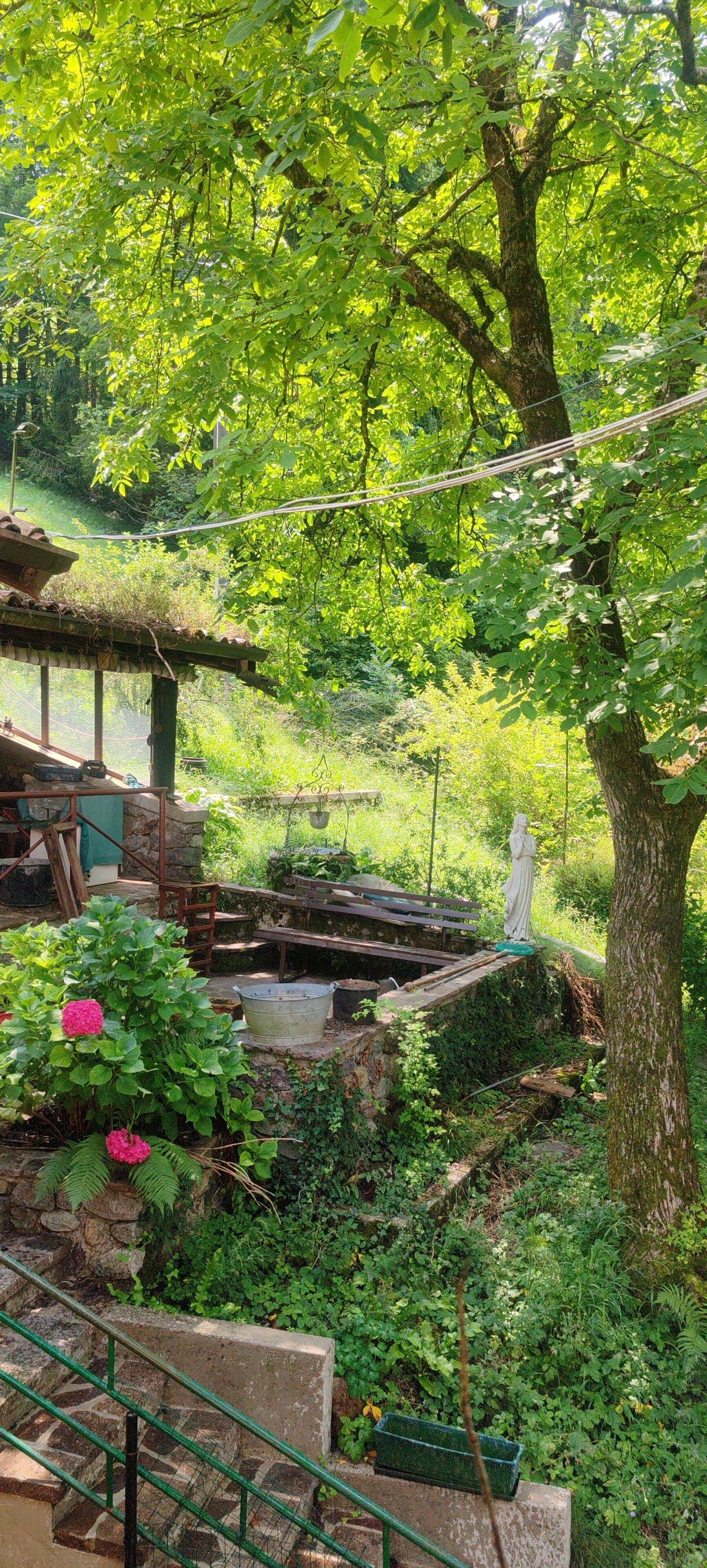 Parco della struttura