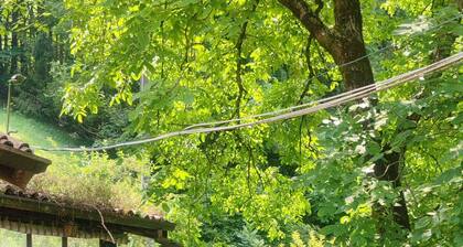 The wood nest - house in the woods, escape and relaxation