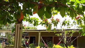 Un edificio con un muro curvo y un jardín lleno de plantas y flores.