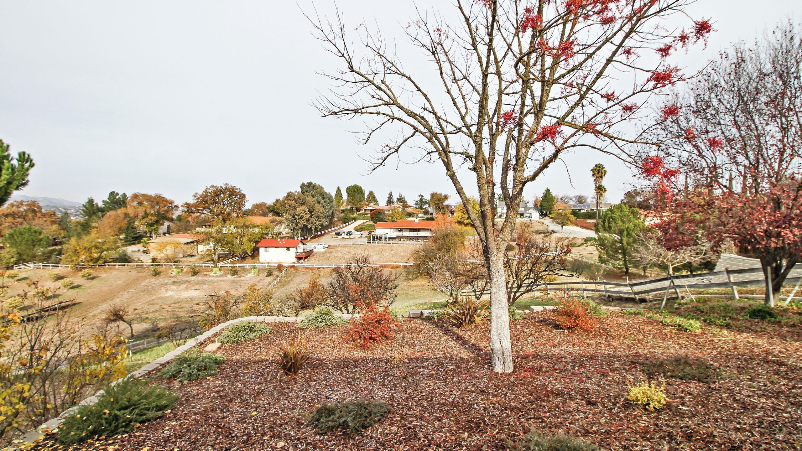 Un quartier résidentiel avec des maisons, une cour clôturée et un arbre aux feuilles rouges.