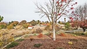 A residential area with houses, a fenced yard, and a tree with red leaves. - COF House by Avantstay Hillside Deck + Skylit Kitchen Paso Robles Wine Country (Paso Robles)