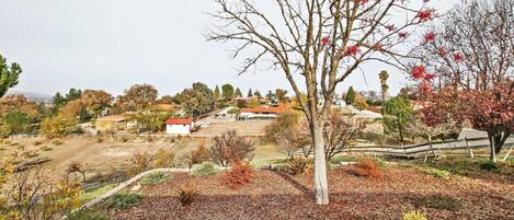 Un quartier résidentiel avec des maisons, une cour clôturée et un arbre aux feuilles rouges.