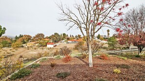 Ein Wohngebiet mit Häusern, einem eingezäunten Garten und einem Baum mit roten Blättern.