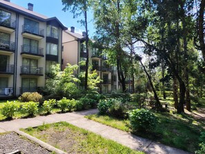 A multi-story residential building with balconies, surrounded by lush greenery and trees. - A warm and cozy apartment located in a peaceful, natural, and relaxed setting (Araucanía)