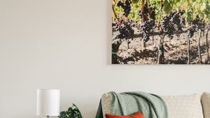 Un salon comprenant un canapé, une table d’appoint, une lampe, une plante et une œuvre d’art accrochée au mur.
