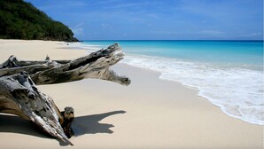 Una playa con agua turquesa cristalina, una orilla arenosa y ramas de madera a la orilla.