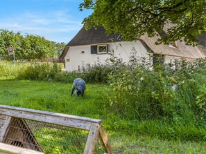 Un entorno rural con una casa blanca, un tejado de paja y un campo cubierto de hierba.
