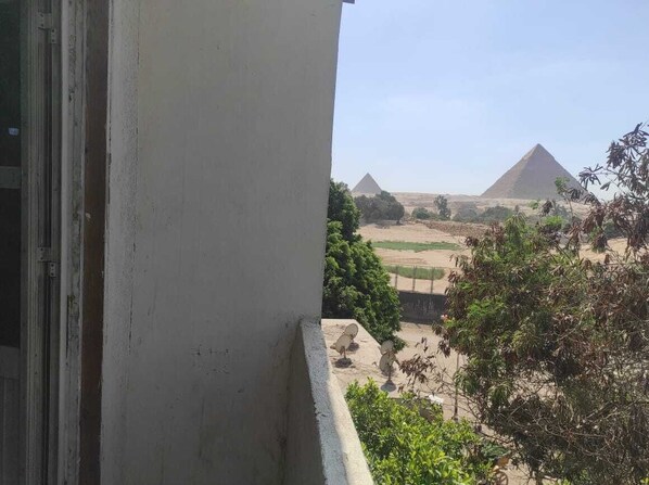 Vista delle piramidi da un balcone con un muro bianco e un po' di vegetazione sullo sfondo.