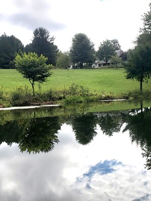 A tranquil pond with a clear reflection of trees and a house in the background.