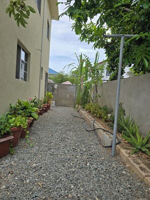 Un estrecho sendero de grava flanqueado por macetas con plantas y un muro de concreto.