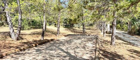 Uma área arborizada com um caminho pavimentado, árvores e uma cerca.