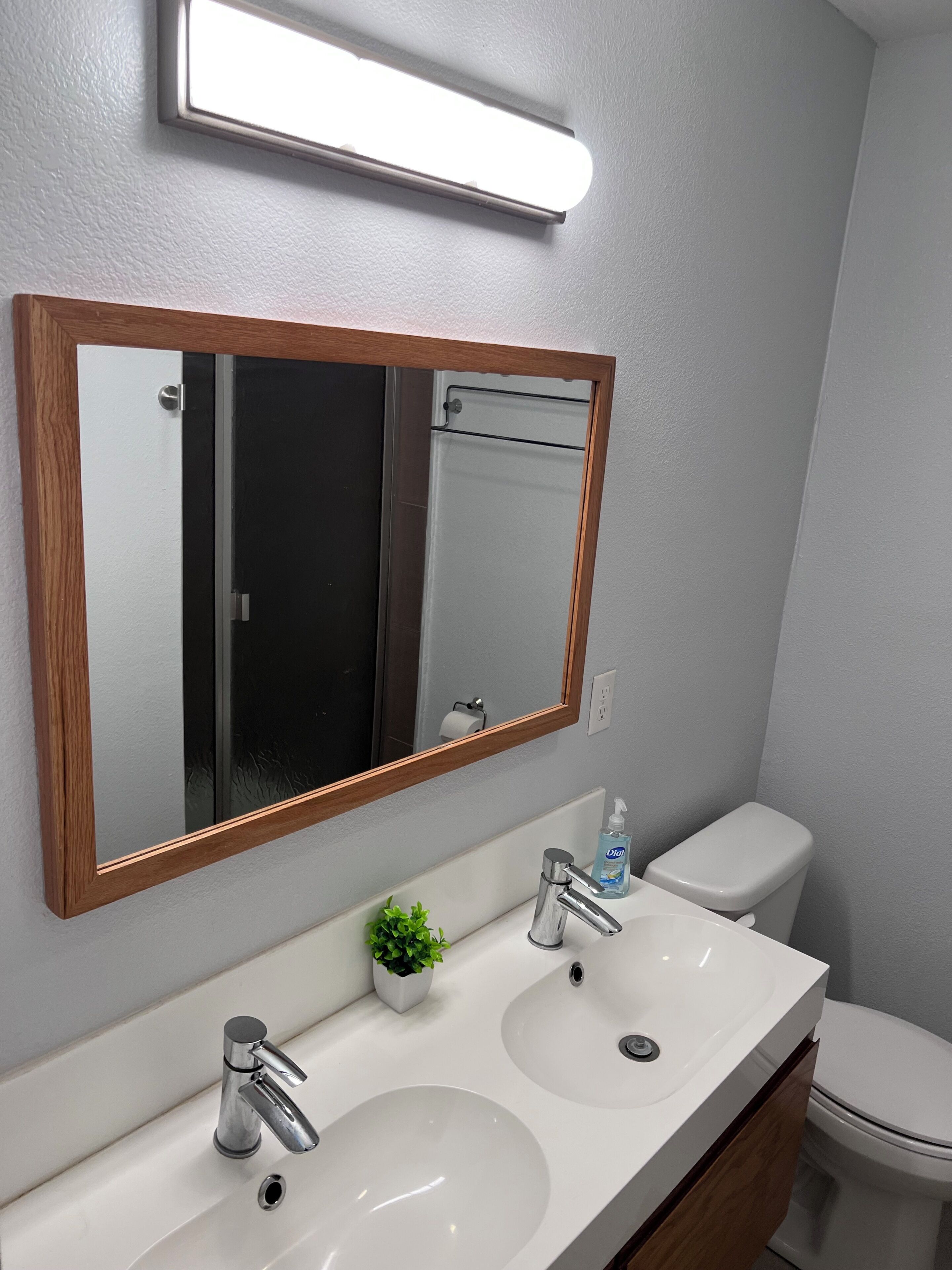 A bathroom with a double sink, a toilet, a mirror, and a small potted plant.