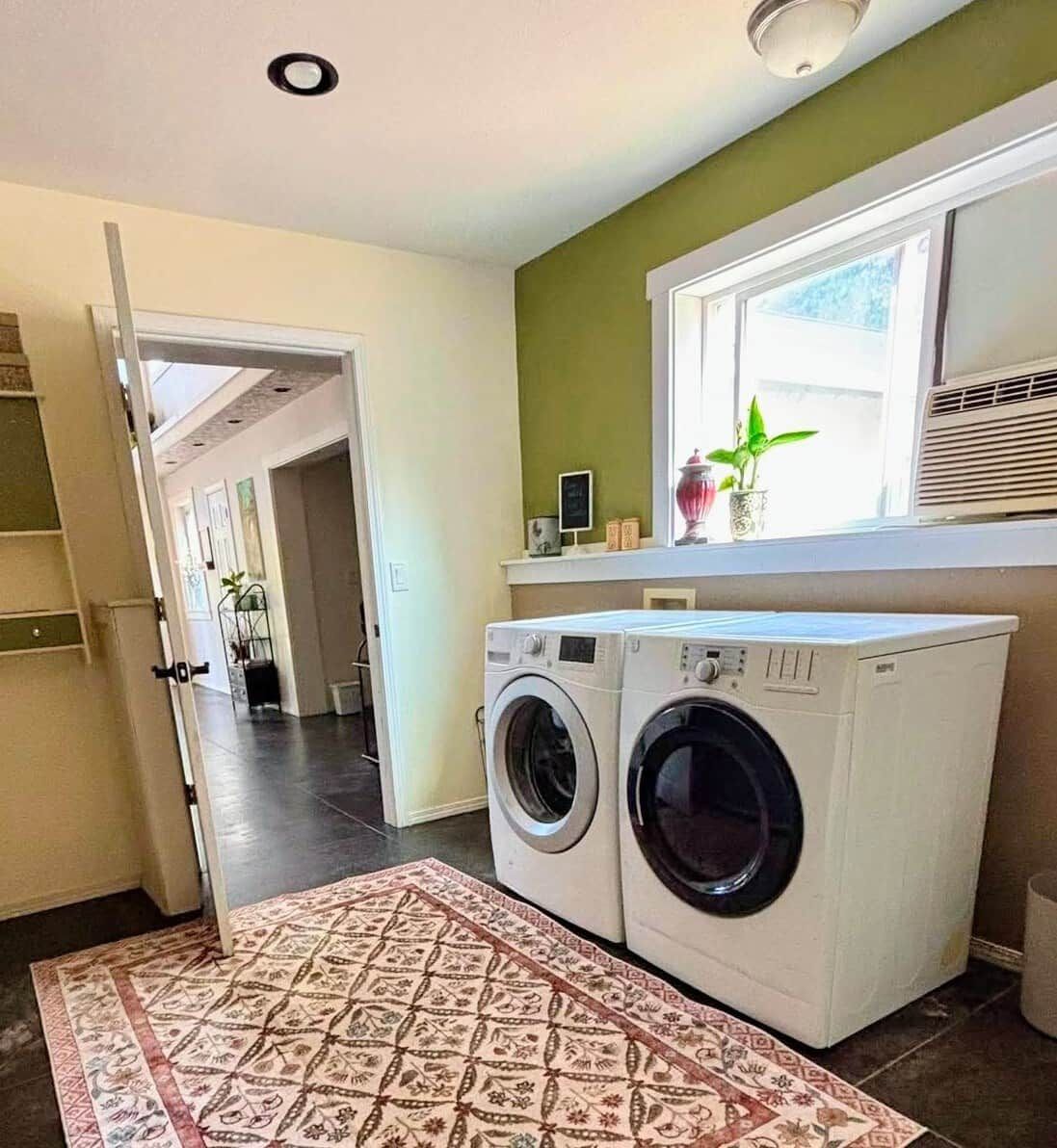 A laundry area with a washing machine, a patterned rug, and a window with a plant.