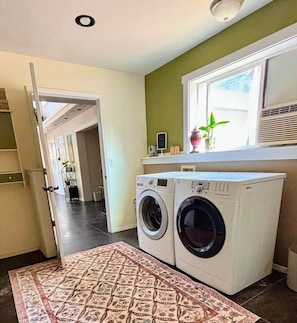 A laundry area with a washing machine, a patterned rug, and a window with a plant.