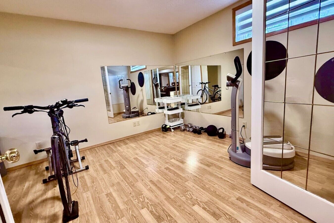 A room with a stationary bike, a mirror, and exercise equipment.