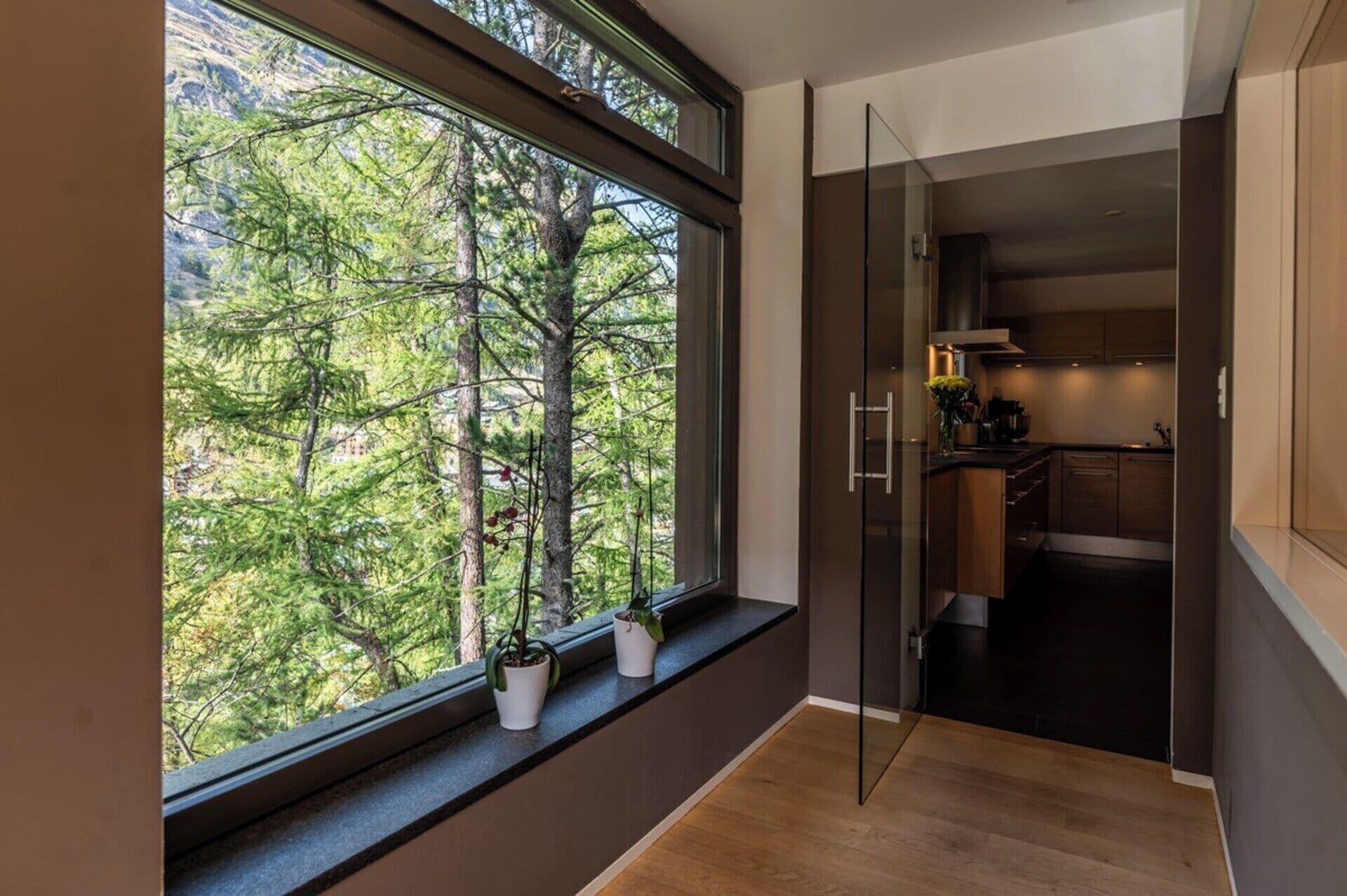 A modern kitchen with a view of a forest through a large window.