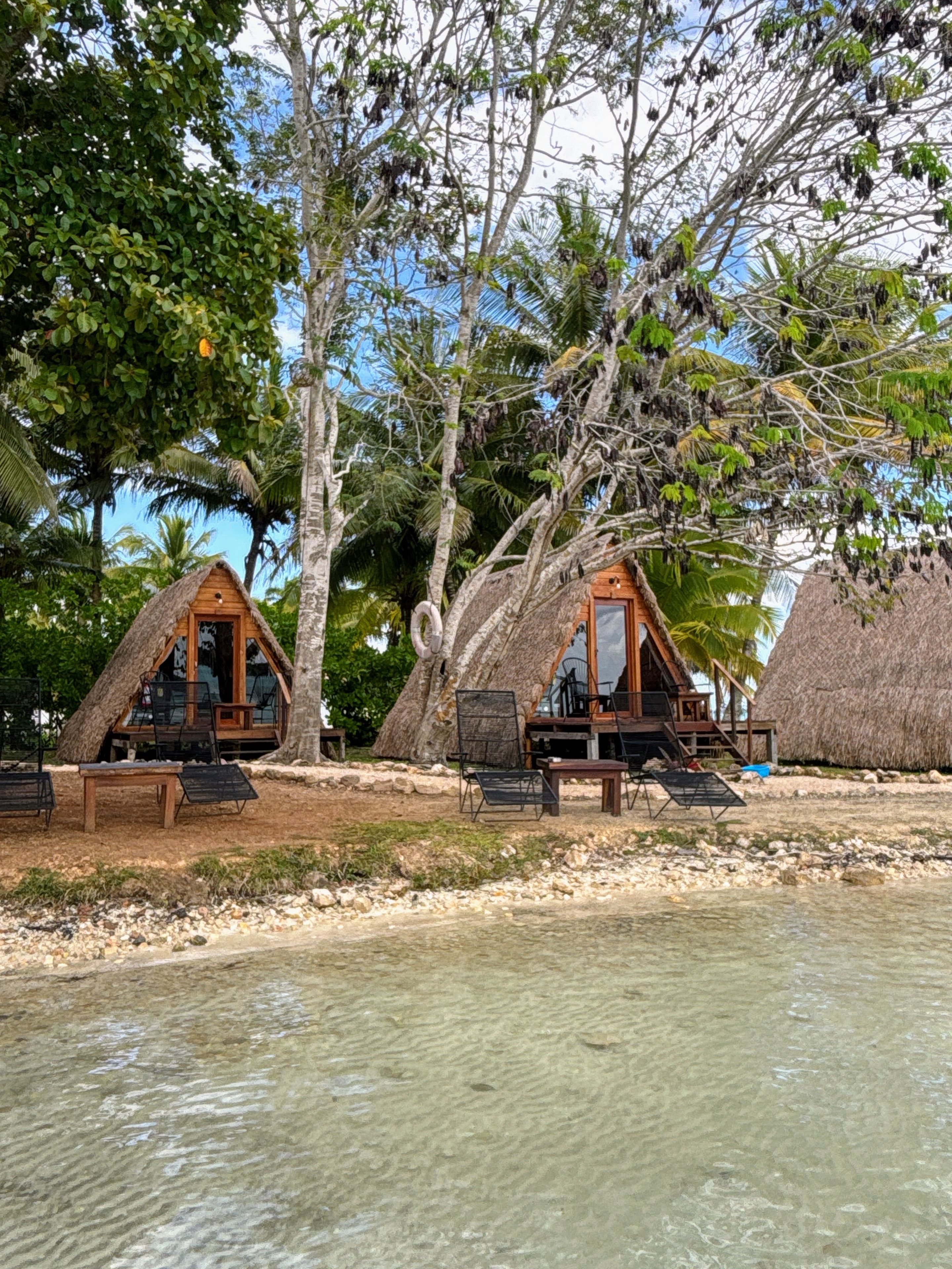 A beachfront property with thatched-roof cabins, clear waters, and lush tropical vegetation.