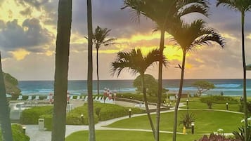 A coastal resort with palm trees, a pathway, and a view of the ocean.