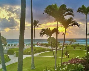 Um resort costeiro com palmeiras, um caminho e vista para o oceano.