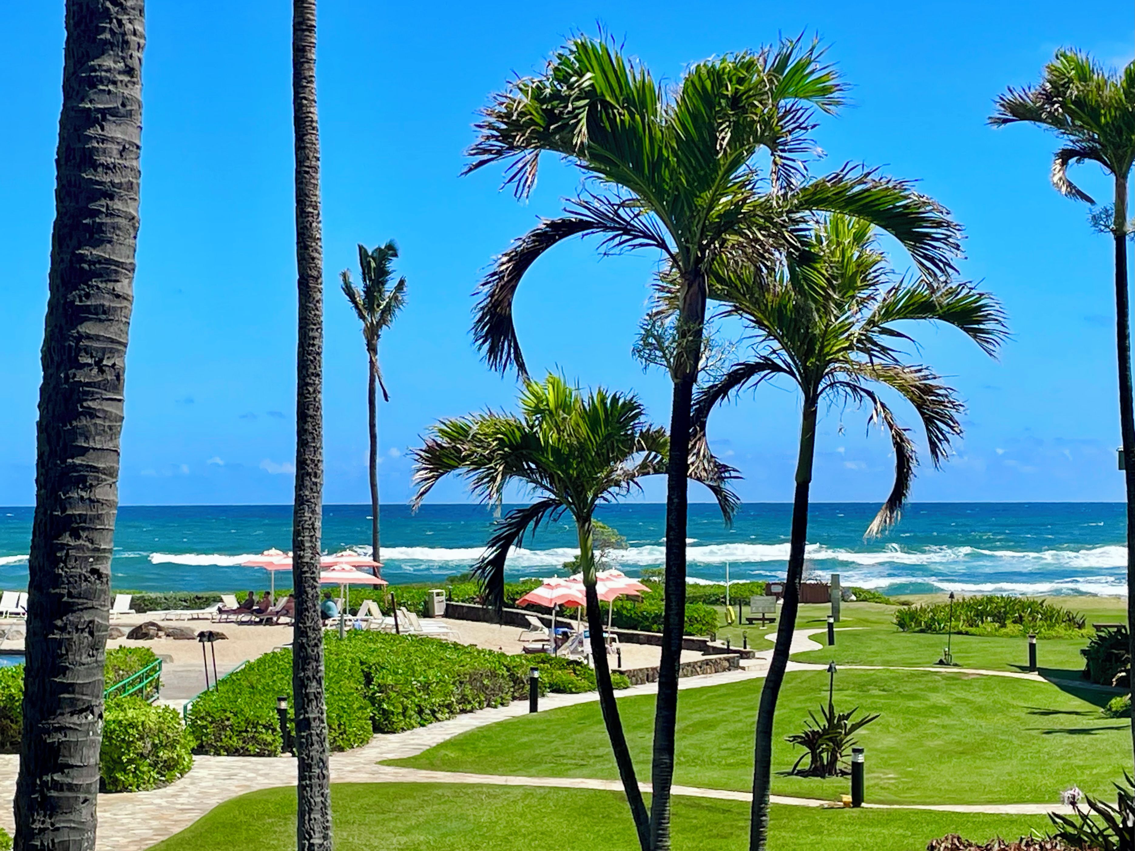 A resort with palm trees, a pool, and a view of the ocean.