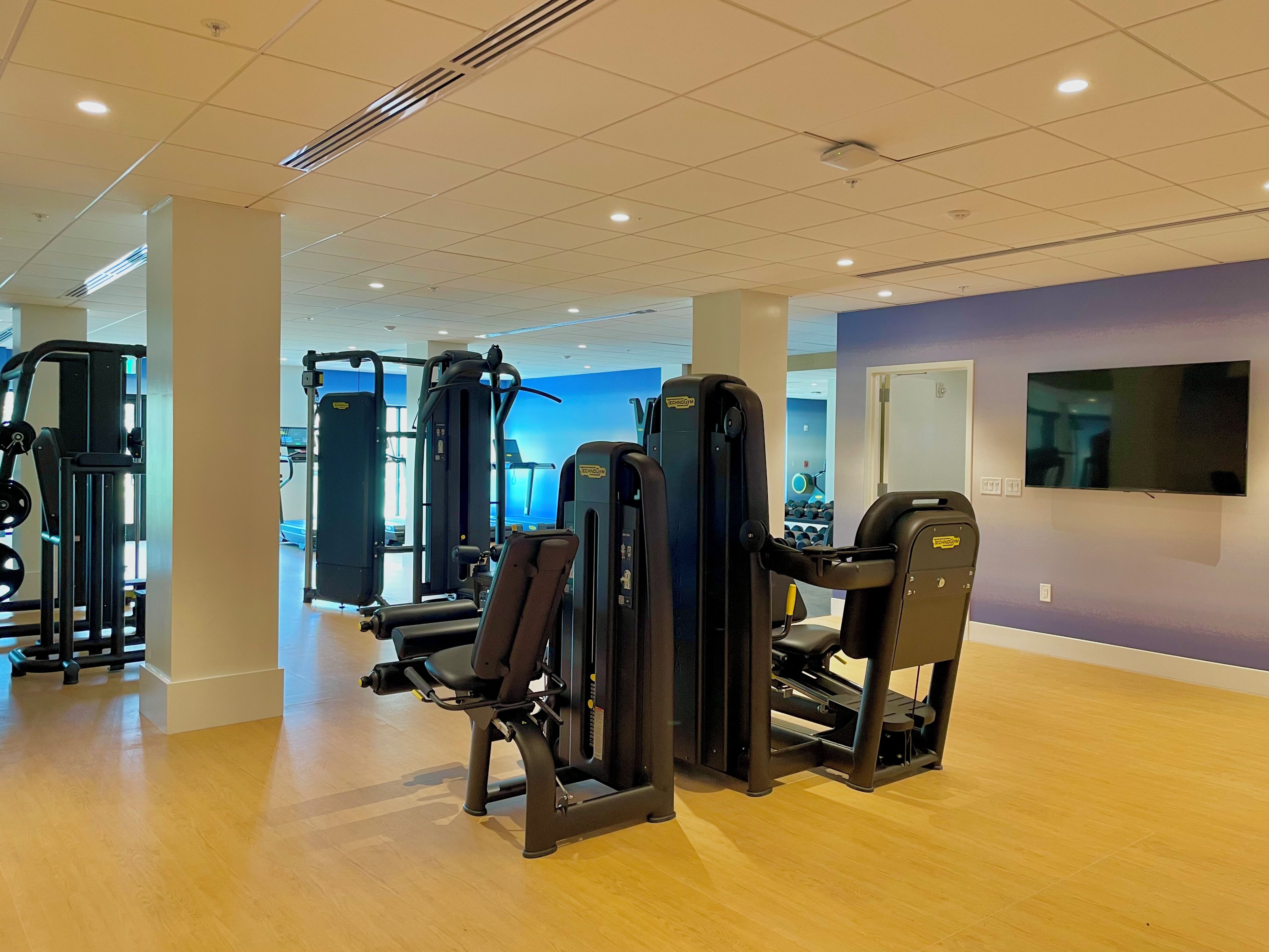A gym with various exercise machines, a television on the wall, and a blue wall in the background.