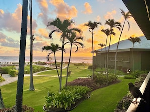 A landscaped garden with palm trees and a view of the ocean at sunset.