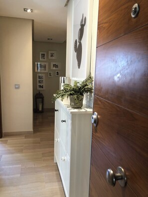 A hallway with a wooden door, a white cabinet with drawers, and a cactus decoration on the wall.