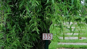 Un segnale stradale con il numero 335, un marciapiede e una zona verdeggiante con un albero.