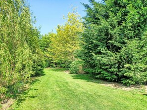 A well-maintained grassy area with dense trees on either side, providing a natural enclosure. - Gîte La Grenouillère by Interhome (Esquéhéries)