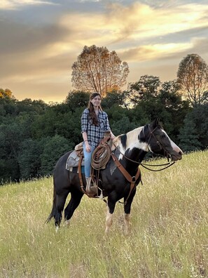 A person riding a horse in a grassy field with trees in the background.