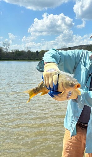 A person holding a fish by a body of water.