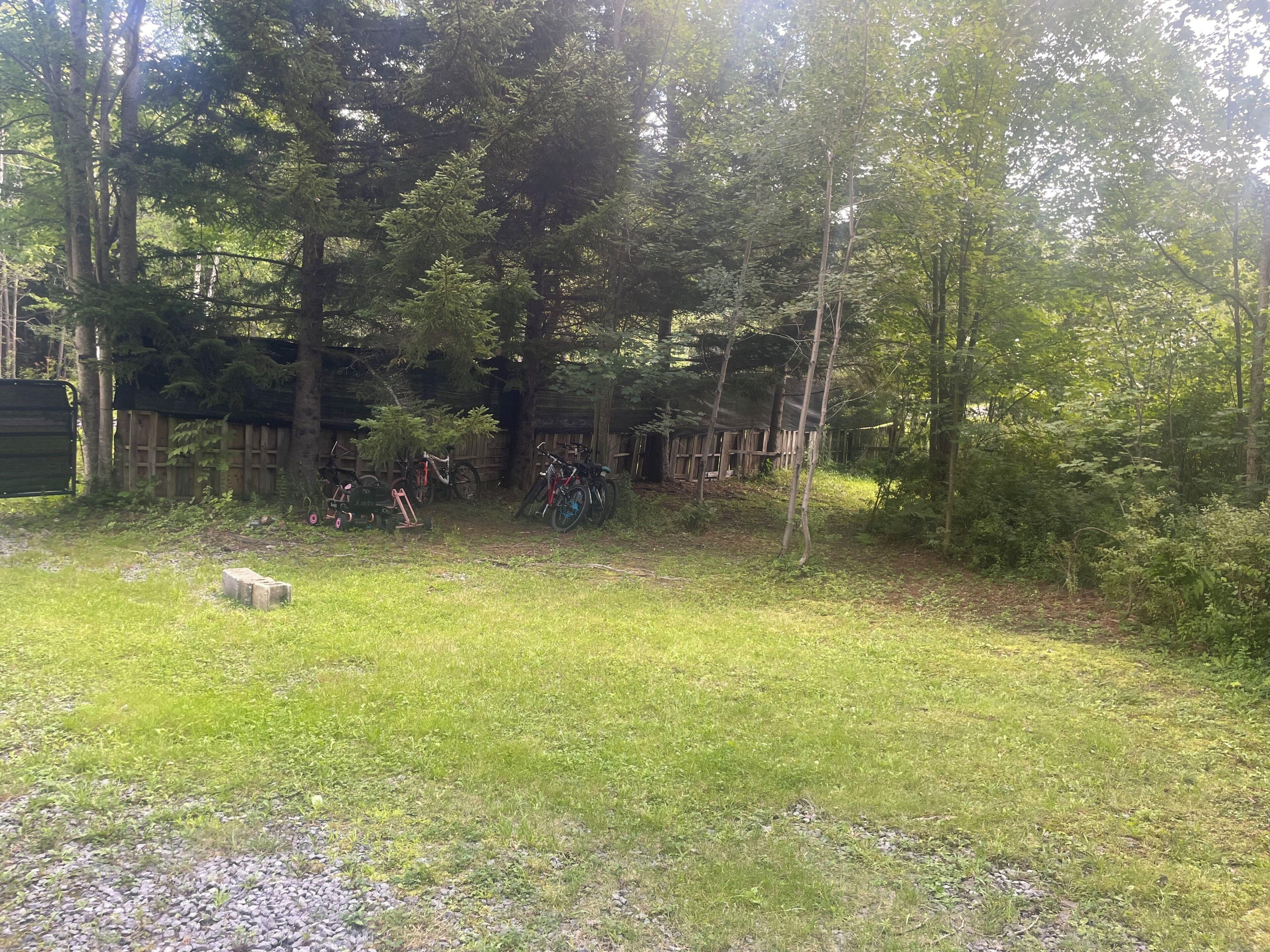 A grassy outdoor area with a wooden fence and trees.