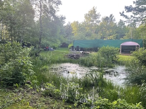 A natural outdoor setting with a pond, green vegetation, and a covered seating area.