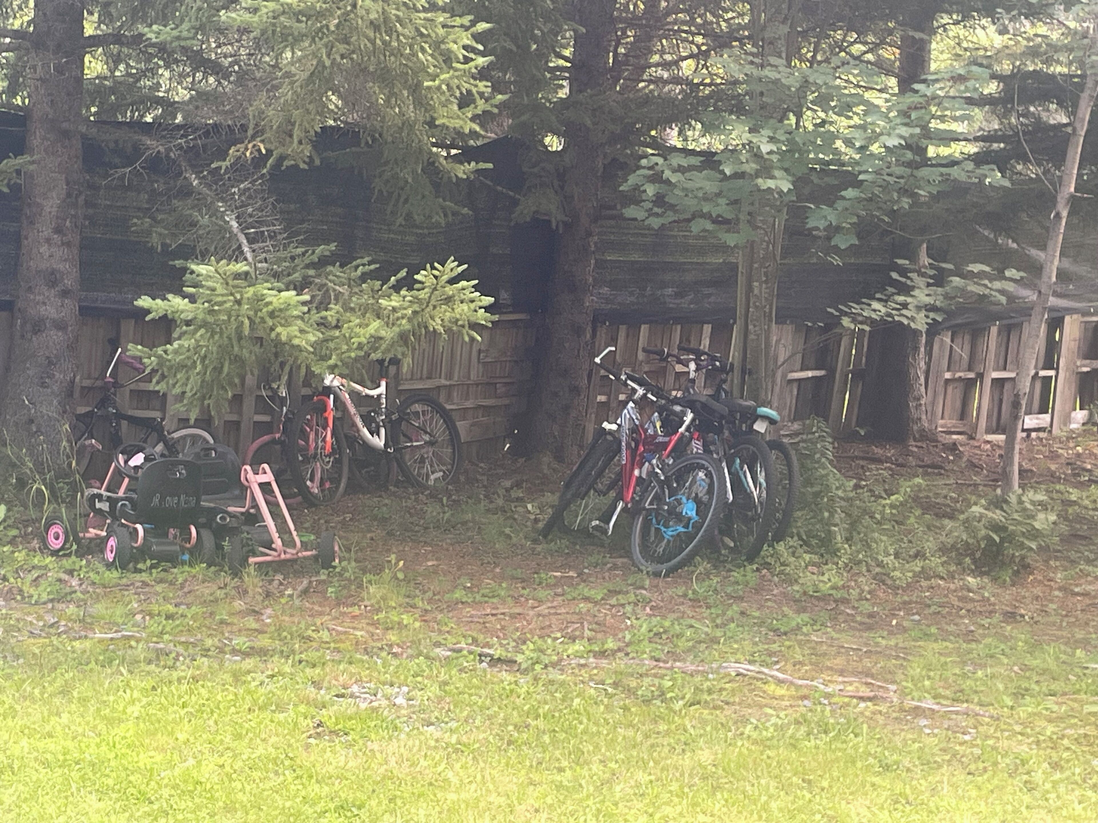 A collection of bicycles parked outdoors, surrounded by trees and a wooden fence.