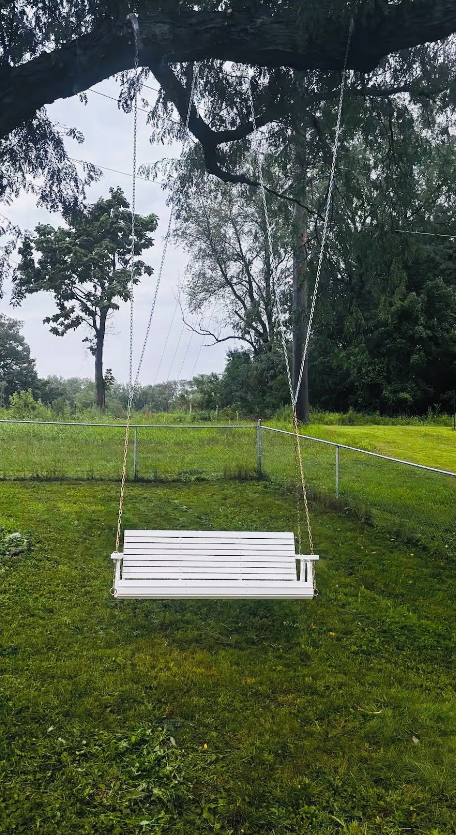 A white swing suspended by chains from a tree in a grassy area.