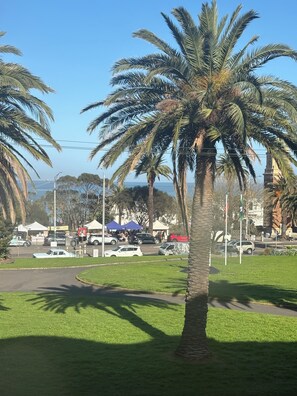A parking area with palm trees, a grassy area, and a clear sky. - Ocean Views Studio Apartment with Secure Parking, walk to shops and the beach. (St Kilda)