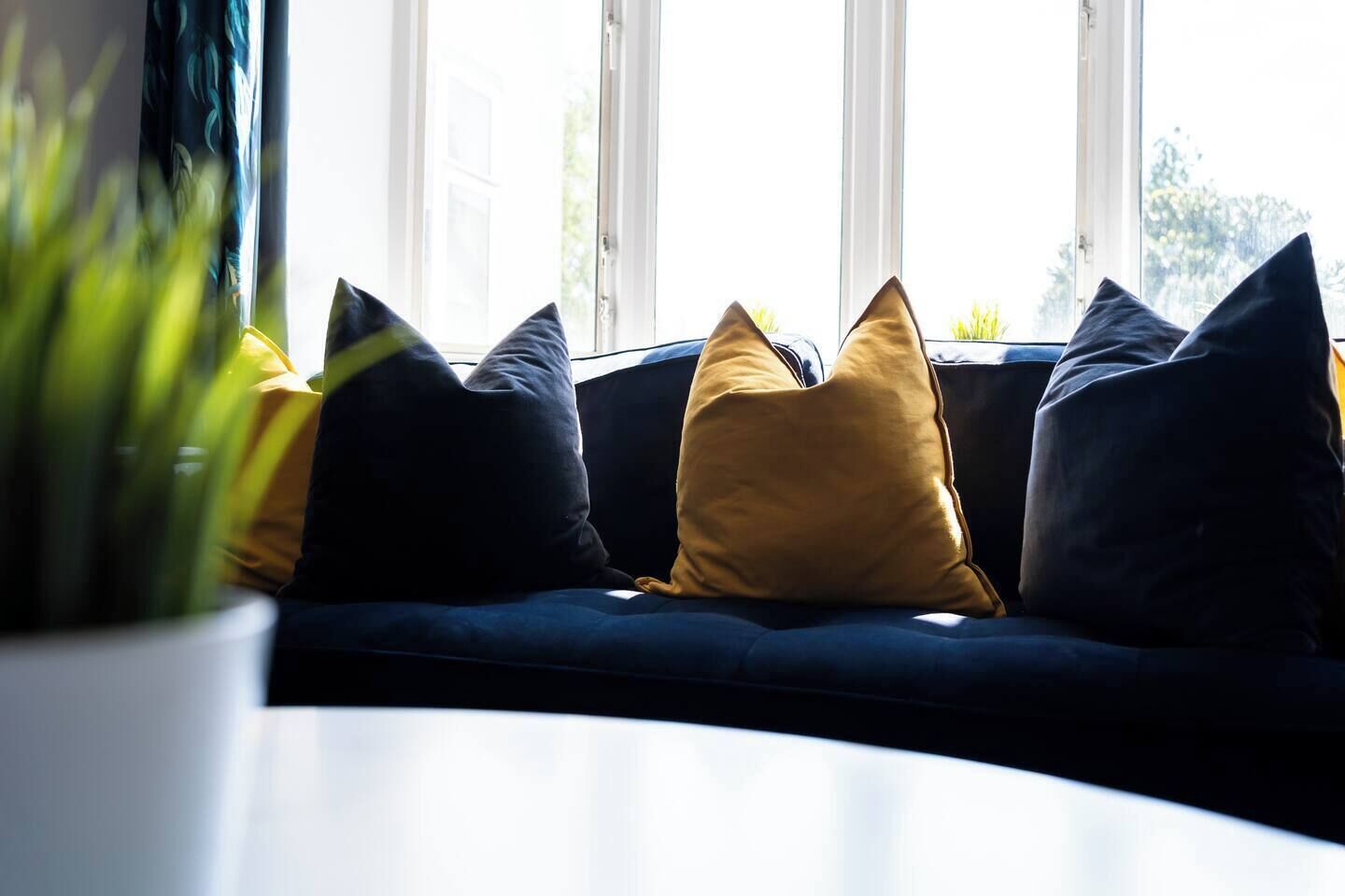 A curved sofa with multiple cushions in a room with large windows.