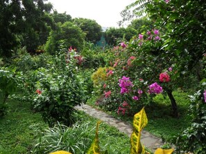 Un jardín con un sendero de piedra rodeado de abundante follaje y plantas florecientes.
