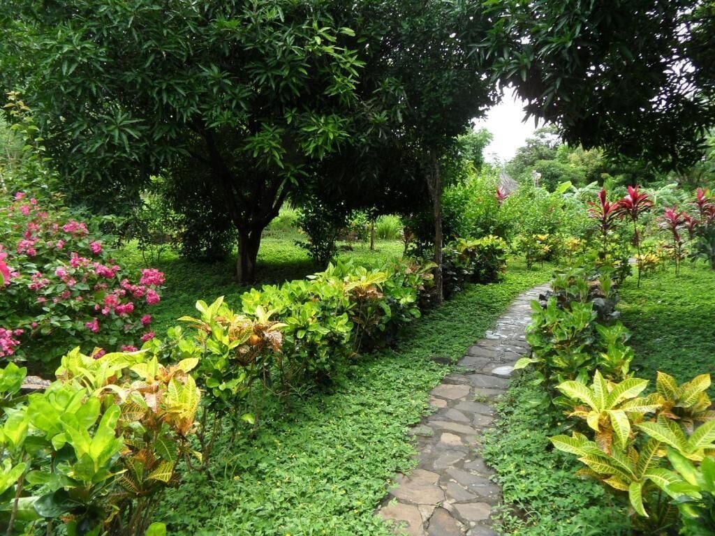 Un chemin de pierres serpente à travers un jardin luxuriant, où poussent différentes espèces de plantes et d’arbres.