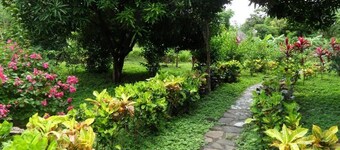 finca montania sagrada Ometepe
